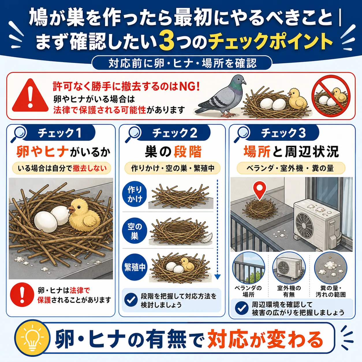 鳩が巣を作ったら最初にやるべきこと｜まず確認したい3つのチェックポイント