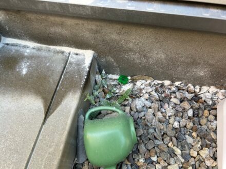 大阪市阿倍野区 戸建 個人宅 アリ駆除の事例の処理前写真(2)