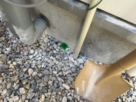 大阪市阿倍野区 戸建 個人宅 アリ駆除の事例の処理前写真(拡大)