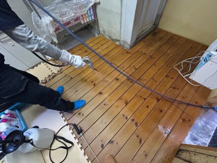 神戸市西区・個人宅 ヤマトシロアリ駆除の事例の処理後写真(4)