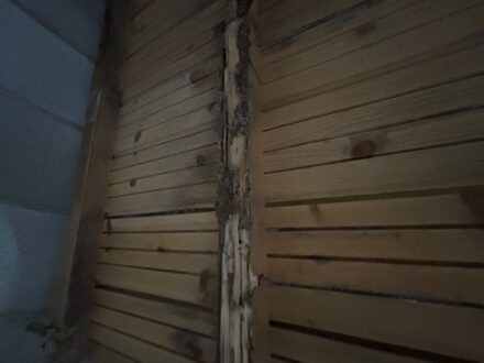 神戸市西区・個人宅 ヤマトシロアリ駆除の事例の処理前写真(3)
