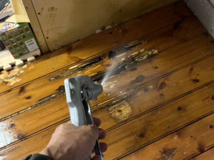 神戸市西区・個人宅 ヤマトシロアリ駆除の事例の処理後写真(拡大)