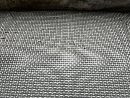 神戸市西区・個人宅 ヤマトシロアリ駆除の事例の処理前写真(4)