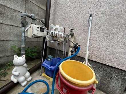 大阪府東大阪市・戸建 個人宅 のアシナガバチ駆除の事例 の処理前写真(2)