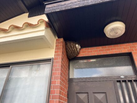兵庫県神戸市・戸建空家 個人宅 のミツバチ駆除の事例 の処理前写真(2)