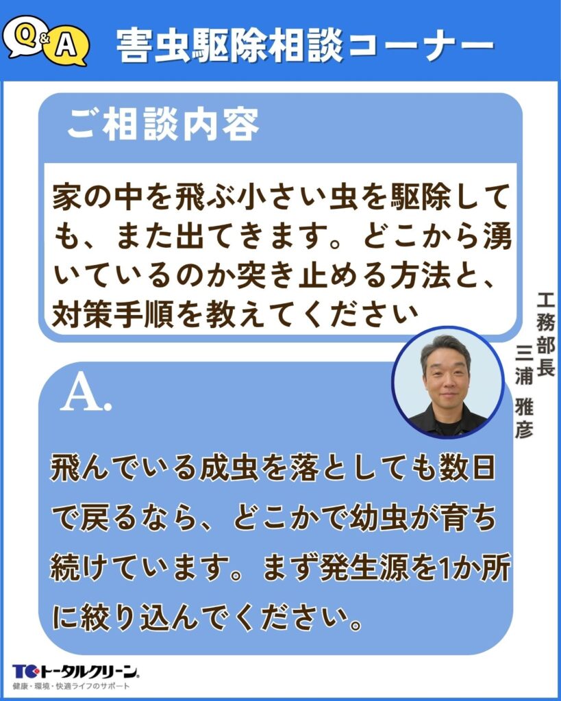 Q 家の中を飛ぶ小さい虫を駆除しても、また出てきます。どこから湧いているのか突き止める方法と、根本から止める手順を教えてください
