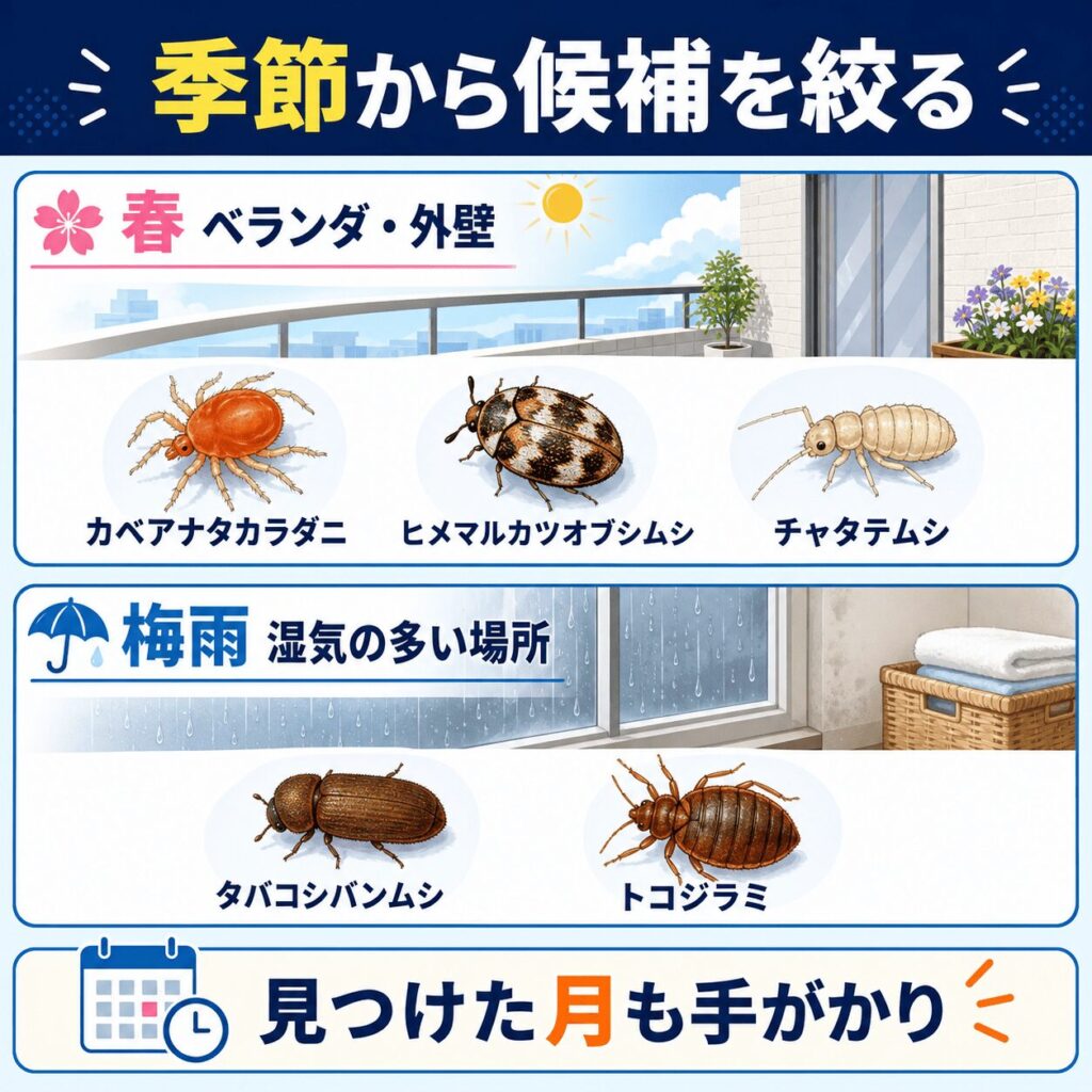 【季節別】春のベランダの赤い虫、梅雨に増える虫