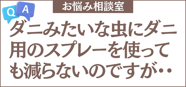 布団のまわりで大きいダニみたいな虫を見つけました。ダニ用のスプレーを使っても減らないのですが、これは何の虫ですか？駆除の方法も教えてください