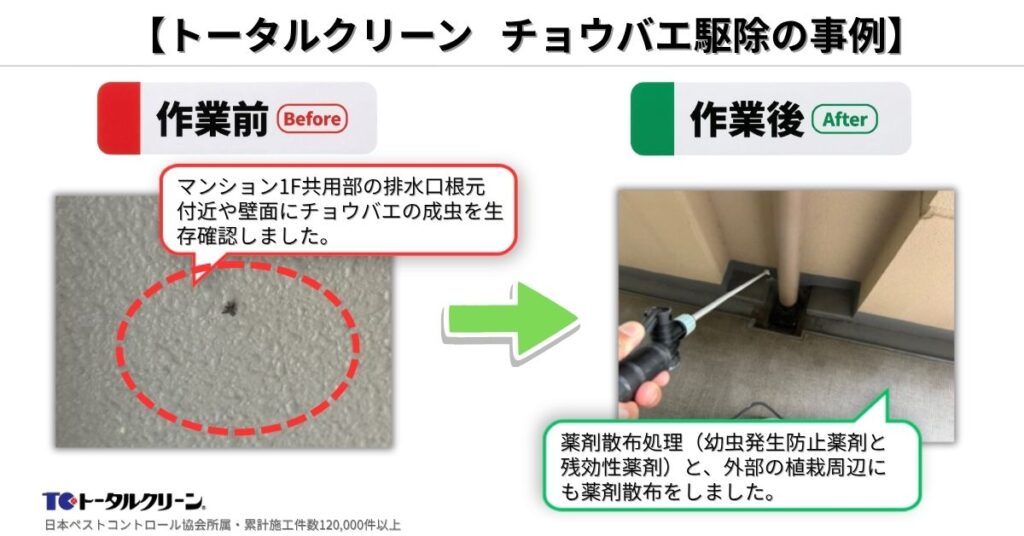 トータルクリーン 大阪市住吉区・マンション共用部のチョウバエ駆除の事例
