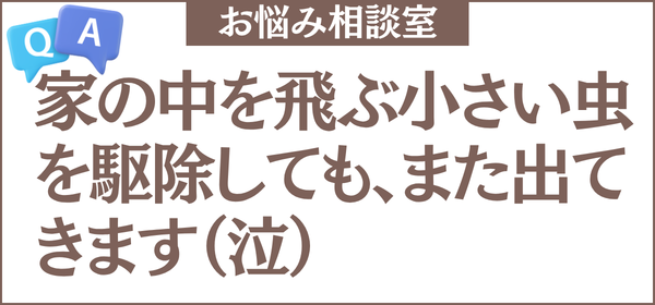 家の中を飛ぶ小さい虫を駆除しても、また出てきます。どこから湧いているのか突き止める方法と、根本から止める手順を教えてください