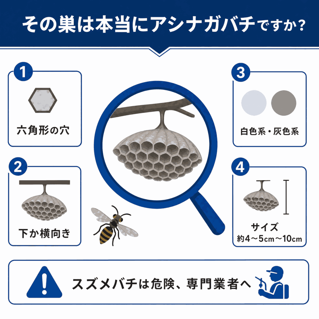 小さい蜂の巣は自分で駆除できる？安全な見分け方と費用相場を徹底解説