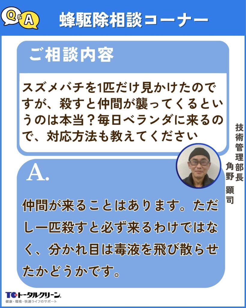 Q スズメバチを1匹だけ見かけたのですが、殺すと仲間が襲ってくるというのは本当ですか？毎日ベランダに来るので、どう対応すればいいのかも教えてください