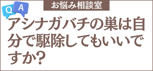 アシナガバチの巣は自分で駆除してもいいですか？駆除手順や駆除すべきかの見分け方も教えてください