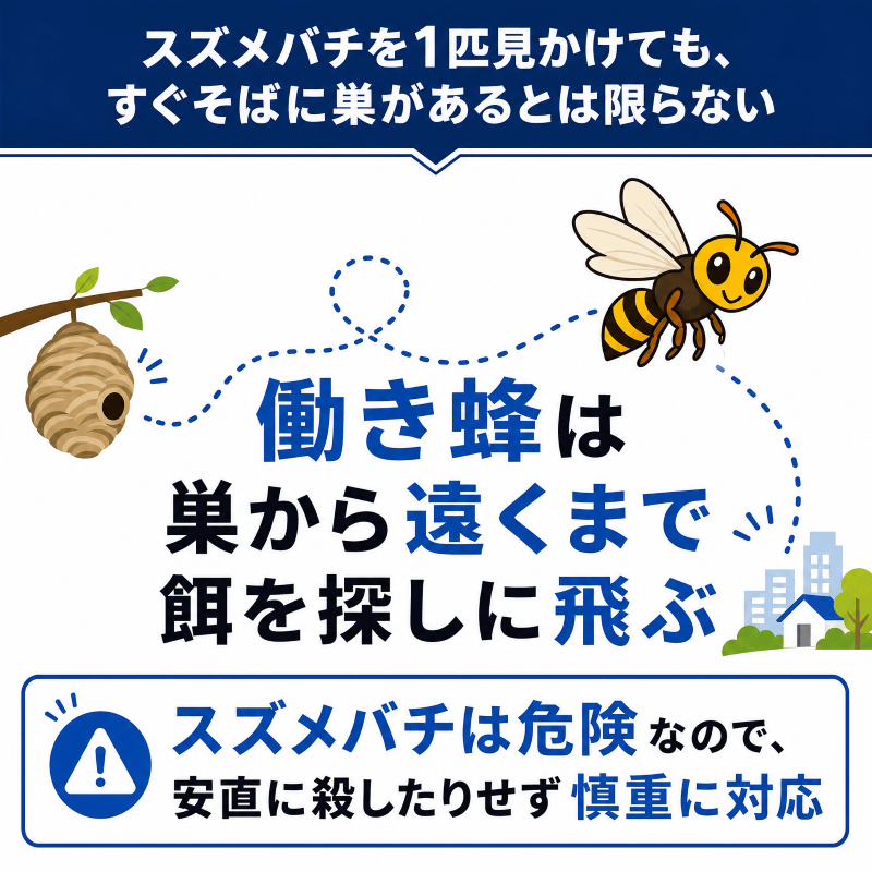 スズメバチ_1匹見かけても巣があるとは限らないが、危険であることに変わりはない