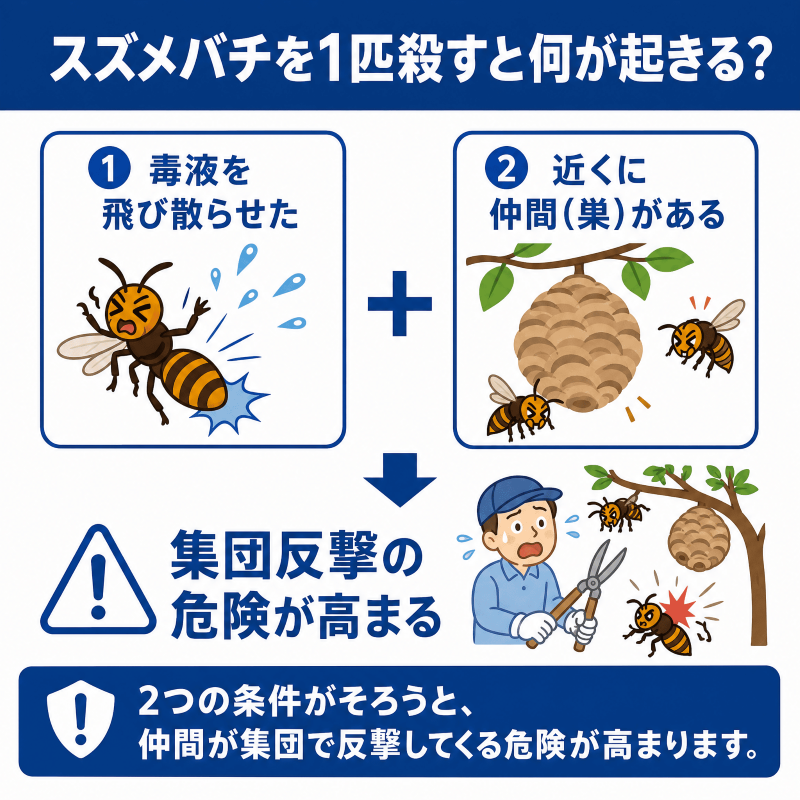スズメバチを1匹殺すと何が起きるのか。仲間が来る条件と来ない条件