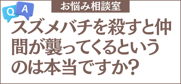 スズメバチを1匹だけ見かけたのですが、殺すと仲間が襲ってくるというのは本当ですか？毎日ベランダに来るので、どう対応すればいいのかも教えてください