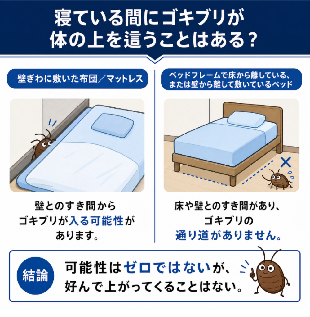 寝てる間にゴキブリが