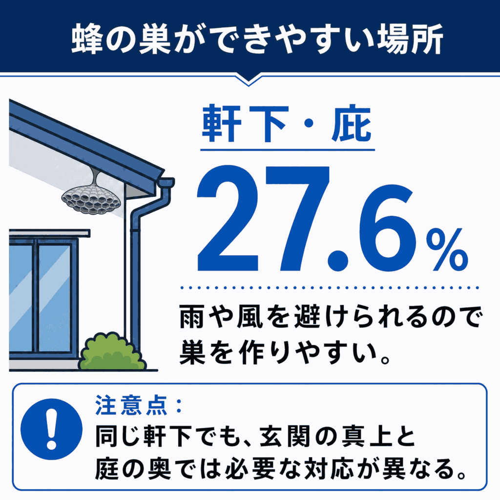 蜂の巣ができやすい場所_アシナガバチ