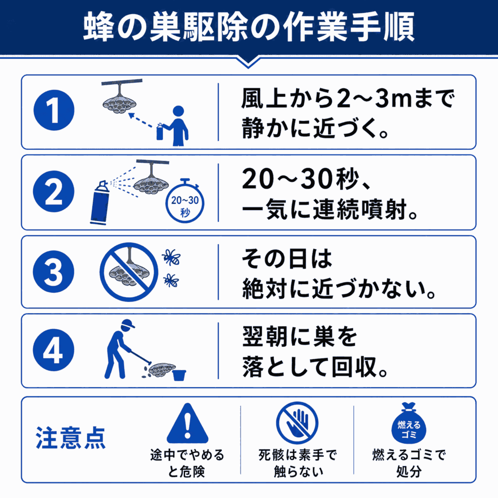 蜂の巣駆除手順_アシナガバチ巣