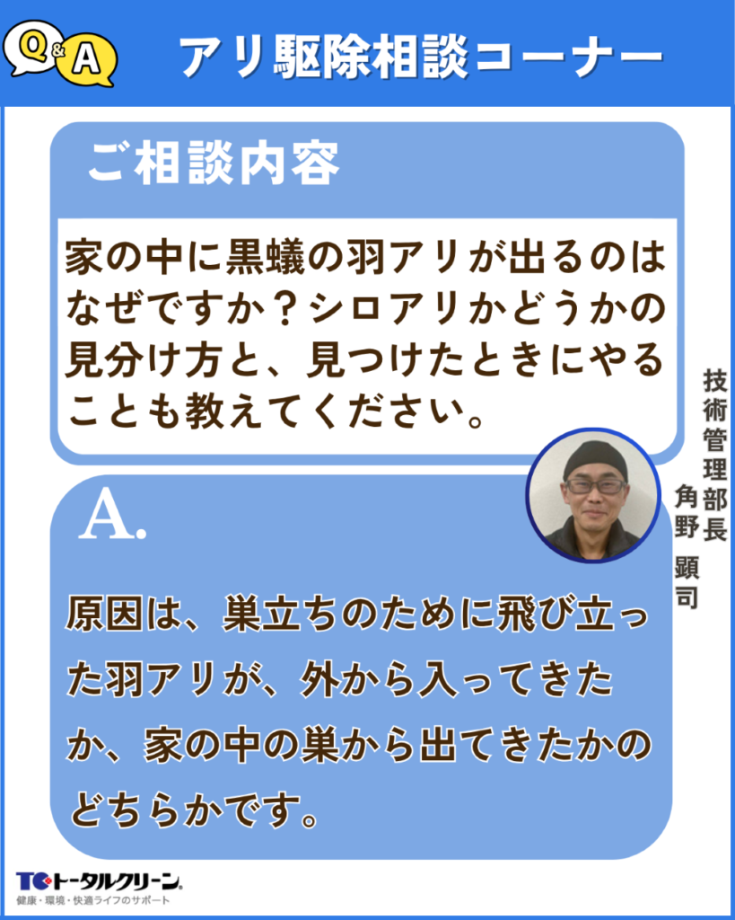 Q 家の中に黒蟻の羽アリが出るのはなぜですか？シロアリかどうかの見分け方と、見つけたときにやることも教えてください