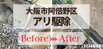 大阪市阿倍野区 戸建 個人宅 アリ駆除の事例