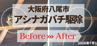 大阪府八尾市・戸建個人宅 のアシナガバチ駆除の事例　の駆除
