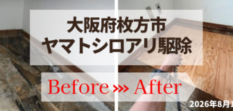 大阪府枚方市・マンション個人宅 ヤマトシロアリ駆除の事例の駆除