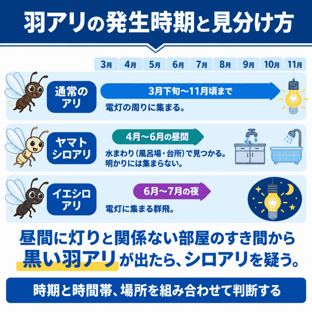 羽アリの発生時期と見分け方