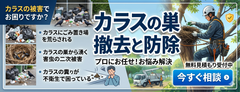 カラスの巣撤去を詳しく見る