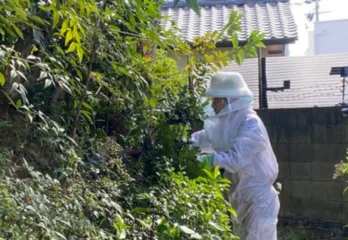 兵庫県神戸市マンション敷地内オオスズメバチ駆除