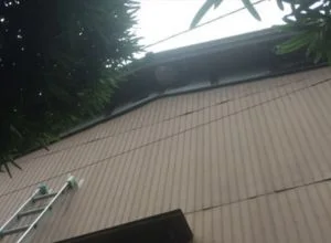大阪府八尾市・個人宅のスズメバチの巣駆除
