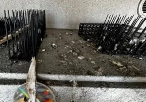 大阪府八尾市・鳩糞清掃