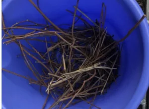 東大阪市・工場のハト対策