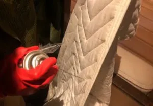 京都市上京区・宿泊施設のトコジラミ駆除