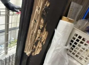 神戸市中央区・個人宅勝手口のシロアリ駆除