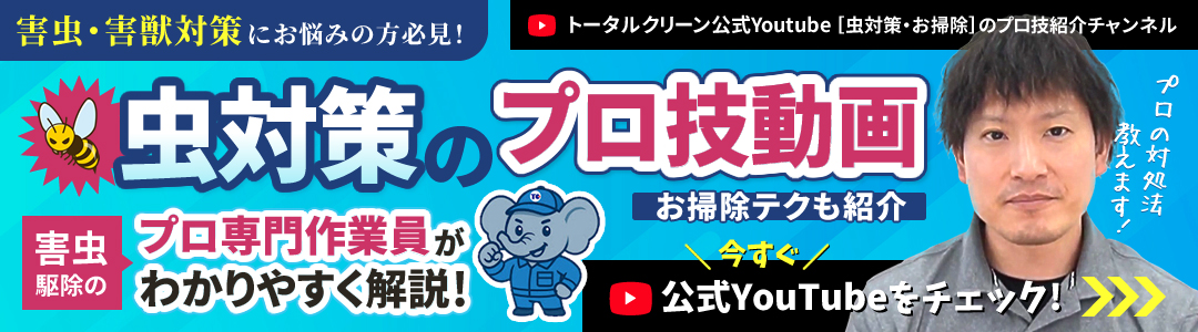 虫対策のプロ技動画