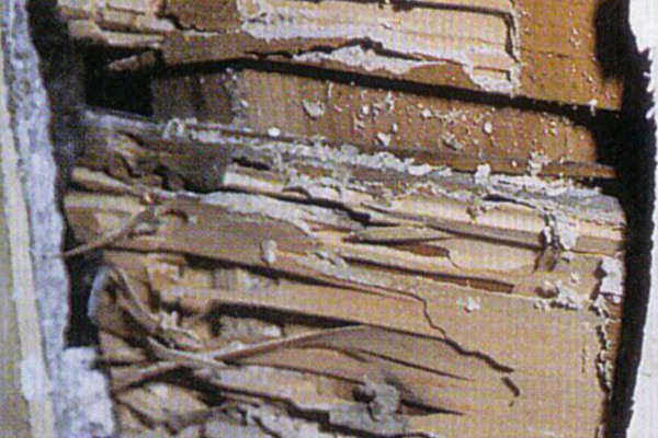 モルタル壁内部の被害