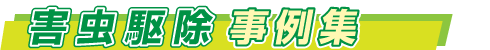 害虫駆除事例集