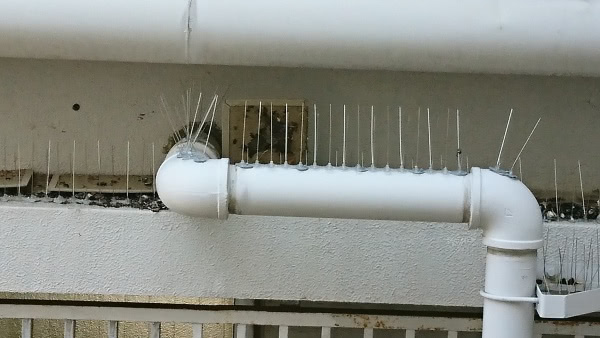 三田市・施設の鳩糞清掃・防鳩ネット施工・防鳩スパイク設置の事例の駆除処理後