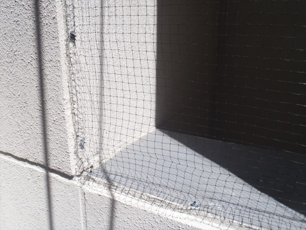 神戸市灘区・マンションの防鳩ネット施工と消毒の事例の処理後写真(2)