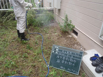 茨木市・個人宅のアリ駆除の事例　の駆除処理後