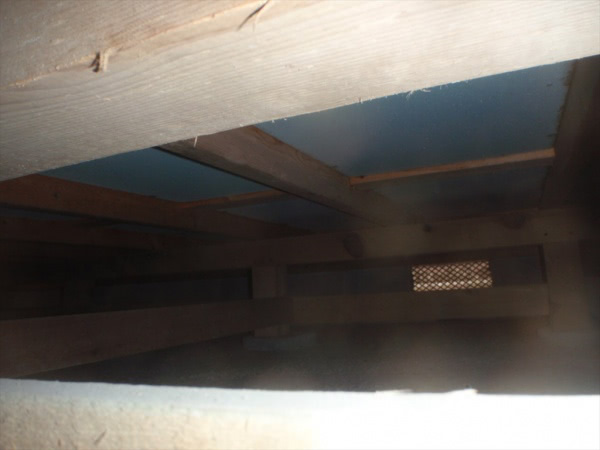 摂津市・個人宅のシロアリ駆除の事例　の処理前写真(2)