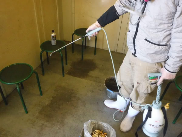 【予防】神戸市・事務所の新型コロナウイルス消毒除菌作業の事例の処理後写真(3)