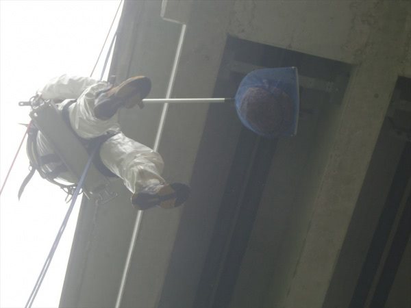京都市・橋梁桁下のスズメバチの巣撤去の事例の処理後写真(2)