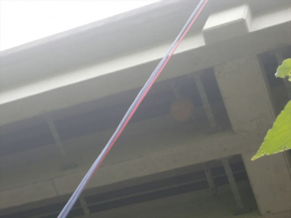京都市・橋梁桁下のスズメバチの巣撤去の事例の処理前写真(2)