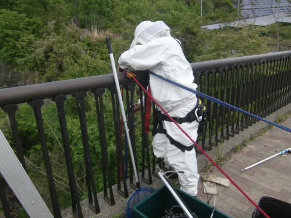 京都市・橋梁桁下のスズメバチの巣撤去の事例の処理前写真(3)