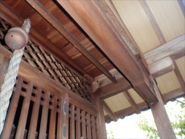 神戸市兵庫区・寺院のスズメバチ駆除　の駆除処理後