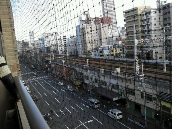 神戸市中央区・マンション（個人宅）の防鳩ネット施工の事例　の駆除処理後