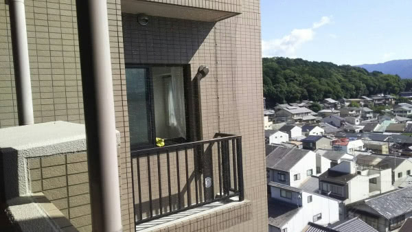 奈良市・マンション（個人宅）の防鳩ネット施工の事例　の駆除処理後