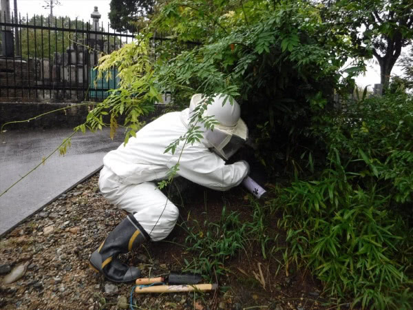 豊中市・墓地のオオスズメバチ駆除の事例の処理後写真(3)